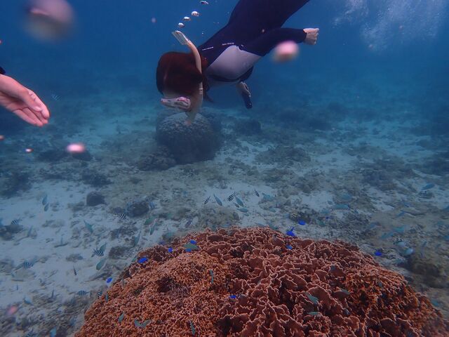 ��_�s���A���n�@�_�C�r���O�T�[�r�X