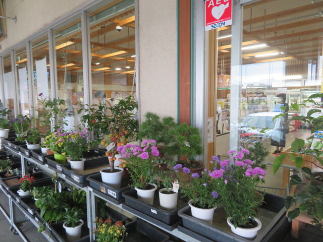 ���̉w �₢��_���̉w �₢��