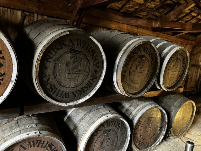 ���w�R�[�X�ɂ��钙���ɂł��B�n�����ɒ��g�������ɂȂ�i�V�g�̕����O�j����������܂��B_�j�b�J�E���X�L�[�]�s������