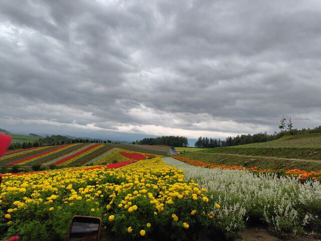 �����ƌ��Ă��������炢���������Ԃ̋u_�l�G�ʂ̋u