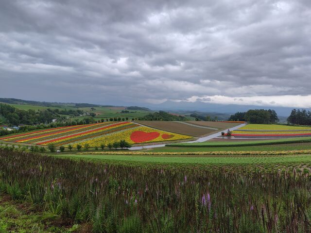 ���S�ɐԂ��n�[�g�������܂��B�܂��ł��������i�F�ł��B_�l�G�ʂ̋u