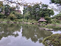 �����̂肳��̏k�i���ւ̓��e�ʐ^1