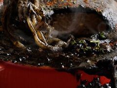 SuperRino����̖��É��e���X ���w�X�ւ̓��e�ʐ^1