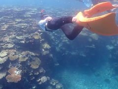 ݁[񂳂̈ɗǕ}cA[ One By Oneւ̓eʐ^2