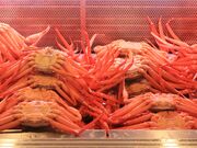 Ƃ񂳂̂ɂ≡̓eʐ^3