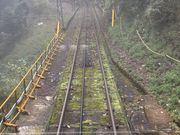 ܂䂳̓CdSɊyw̓eʐ^1