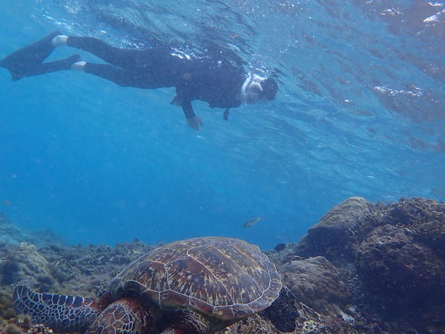 �E�~�K������Ƃ���Ȃɋ߂Â��܂���^_^_noa �{�Ó�