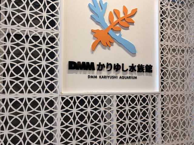 _DMM䂵
