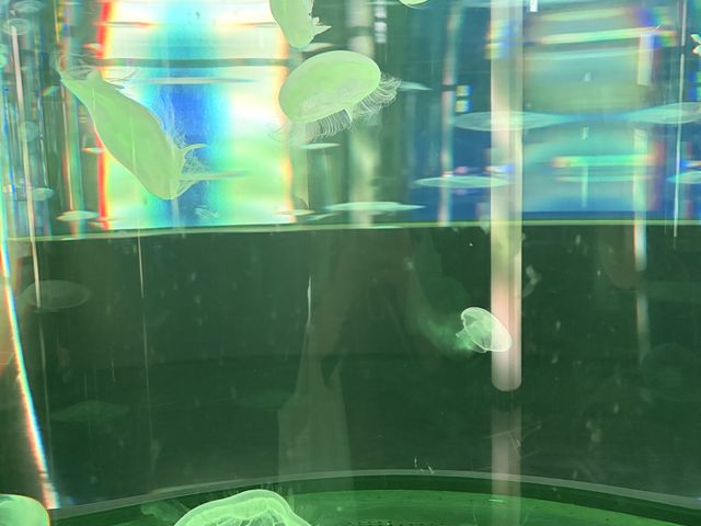 ݂񂳂DMM䂵ق̓eʐ^3