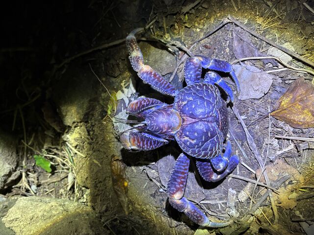 ���V�K�j_�}�����V���b�vHAPPY