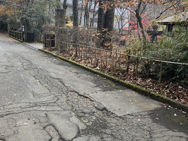 �傫�ȓ��H���班���������Ƃ���ɂ���܂���_��Ηq