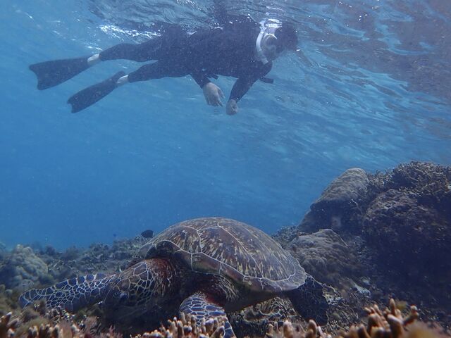 �E�~�K�����񂨐H�����ł���^_^_noa �{�Ó�