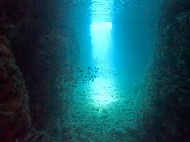 �l�ł͎B��Ȃ��ł�_�̓��A��