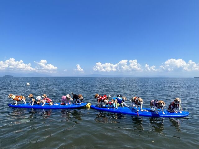 �����R��OK�ł��B_CRAG cafe&sup