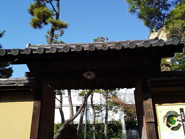 �ۂ�ۂ�����̐V�k���̓��e�ʐ^3