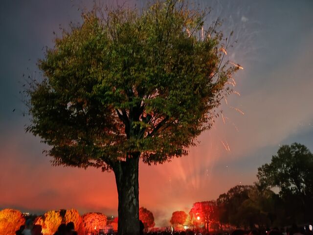 ܂ςς̃[EXPO LO̓eʐ^1