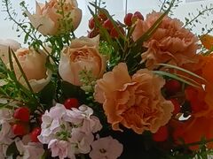 Premium Flowers v~A t[Yit[fUCXN[j̎ʐ^2