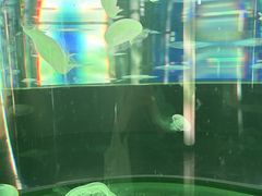 ݂񂳂DMM䂵قւ̓eʐ^1