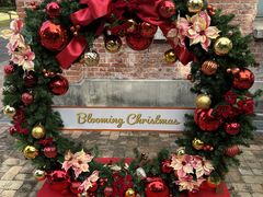 �Ƃ�����񂳂�̃m���^�P�̐X�ւ̓��e�ʐ^1