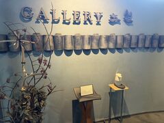 GALLERYy|tsuchiza|̎ʐ^1