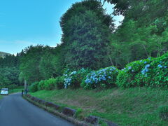 sklfh����̗]���΂����������ւ̓��e�ʐ^1