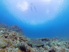 LOUTRE ISHIGAKI̎ʐ^2