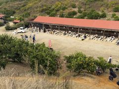 �䂤������̊ό��_�� ��y���ւ̓��e�ʐ^1