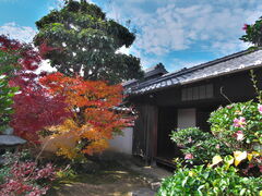 sklfh����̎O���˕��Ɖ��~�i������Ɓj�ւ̓��e�ʐ^1