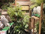 ݂񂳂DMM䂵ق̓eʐ^2