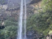 ݂񂳂̐\cA[KCh@JJ̓eʐ^1