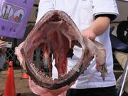 Ƃ񂳂̓̉w zo_V̗̂̓eʐ^3