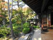 �ۂ�ۂ�����̐V�k���̓��e�ʐ^1