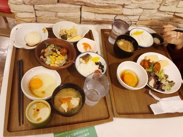 ���H�o�C�L���O�߂���E�}_�z�e���֐�