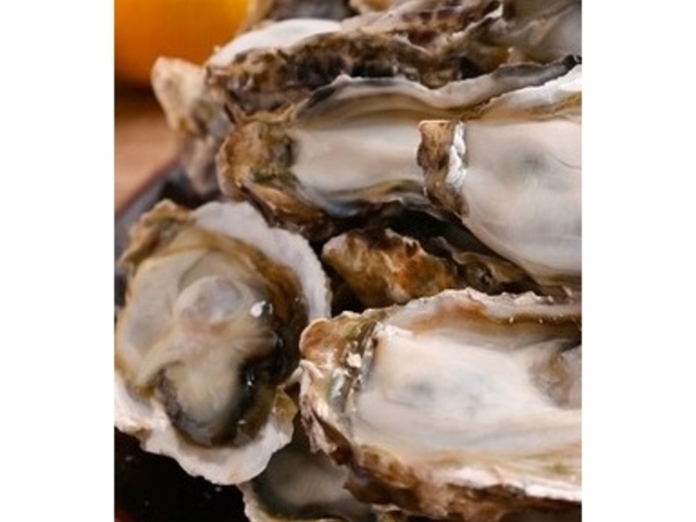 Yuishi����̓��Ƃ��ǂ��������T���[ ���c�w�O�X�̓��e�ʐ^1