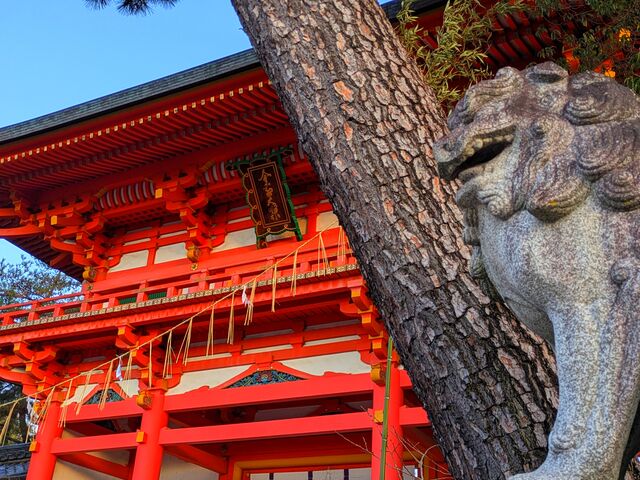 ���{�_��_���{�_��