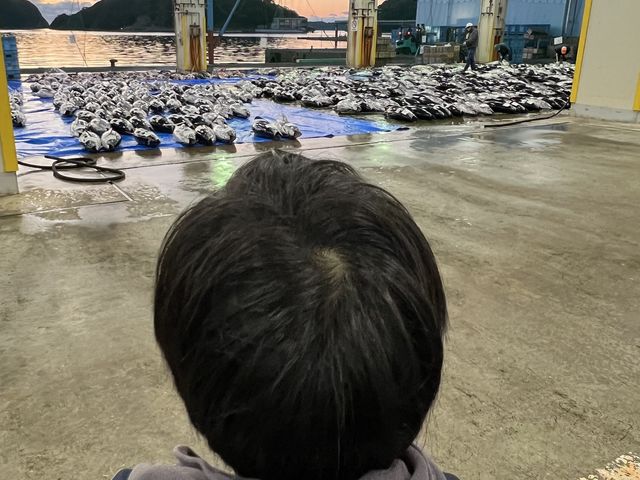 ����̗l�q_Stella Locals �ߒq���Y