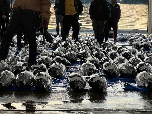 �q���R�����Stella Locals �ߒq���Y�̓��e�ʐ^5