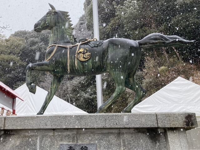 skywalker����̑��Ô����{�̓��e�ʐ^3