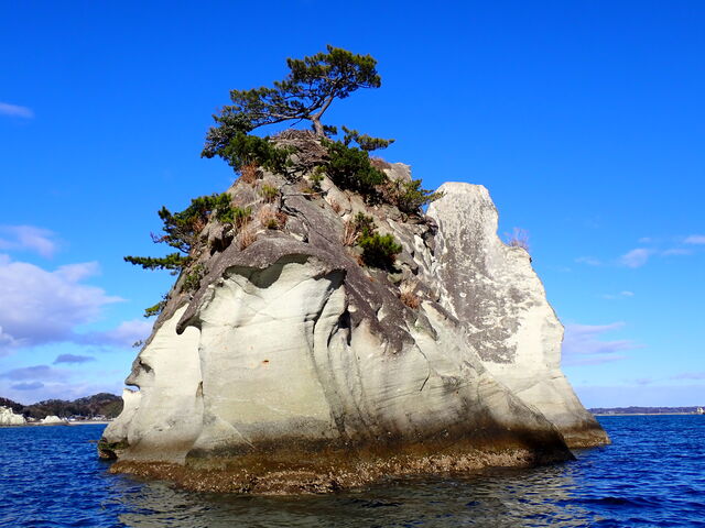 �}�C�a�n�n����̓��{�O��k�@����k�̓��e�ʐ^1