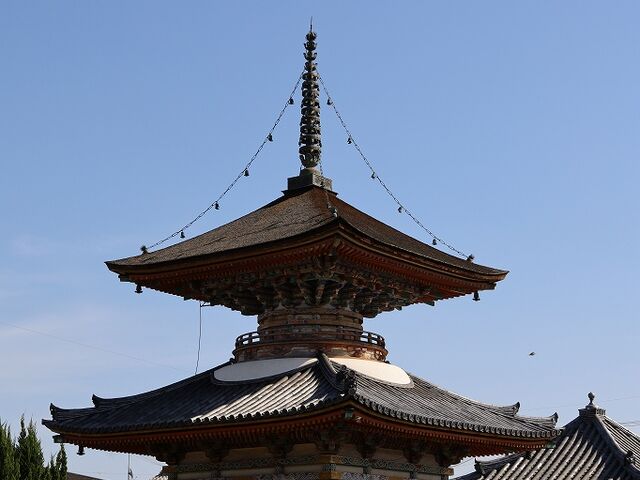 ����_������