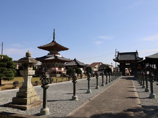 �Q�P�΂̏��蓕��_������