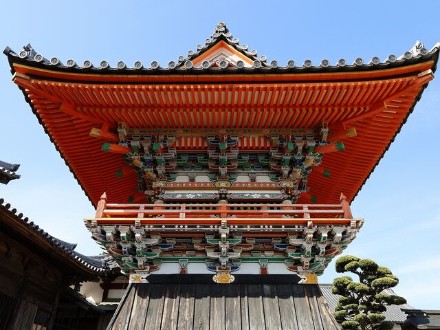 ���O_������