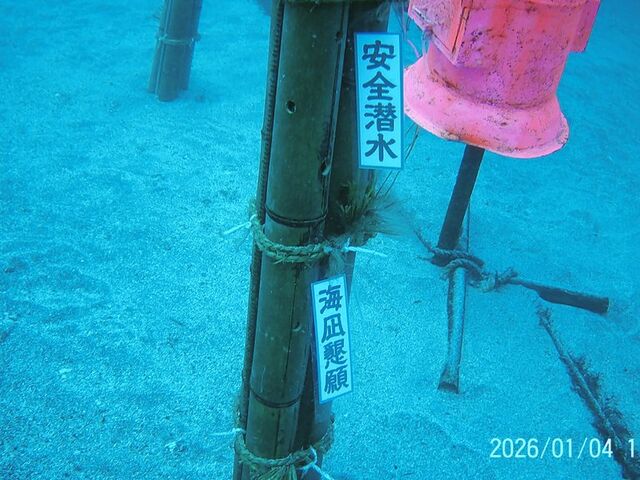 �u���S�����v�u�C�⍧��v_�}�����n�E�X�@���C�A���n