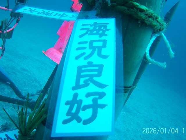 �u�C���ǍD�v_�}�����n�E�X�@���C�A���n