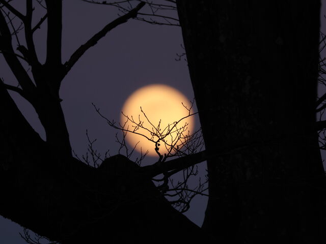 �������Y��ł���_�t�隬