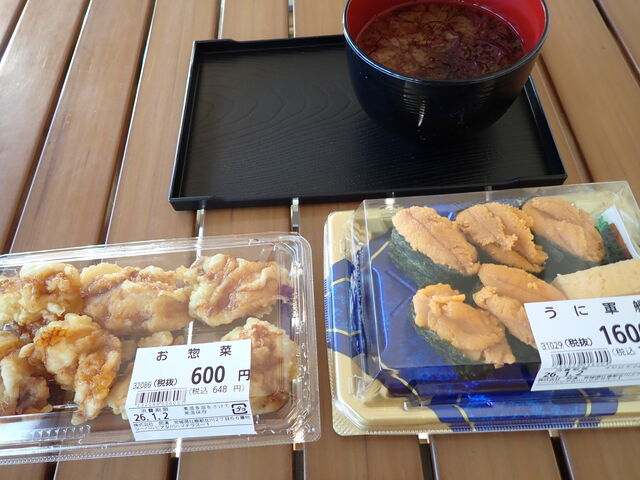 �}�C�a�n�n����̓��̉w�@���Ȃ���̓��e�ʐ^1