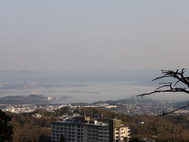 �[�̊X�ɖ����o�Ă��܂���_�L�n��א_��