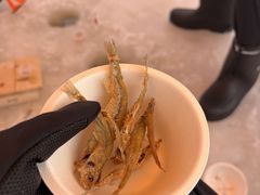 �A�[�X�A�E�g�h�A�c�A�[�Y�̎ʐ^1