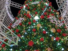 ������������̃n�E�X�e���{�X�ւ̓��e�ʐ^1