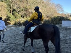 OISO�@��n�@�N���u�̎ʐ^1